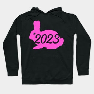 PINK 2023 Hoodie